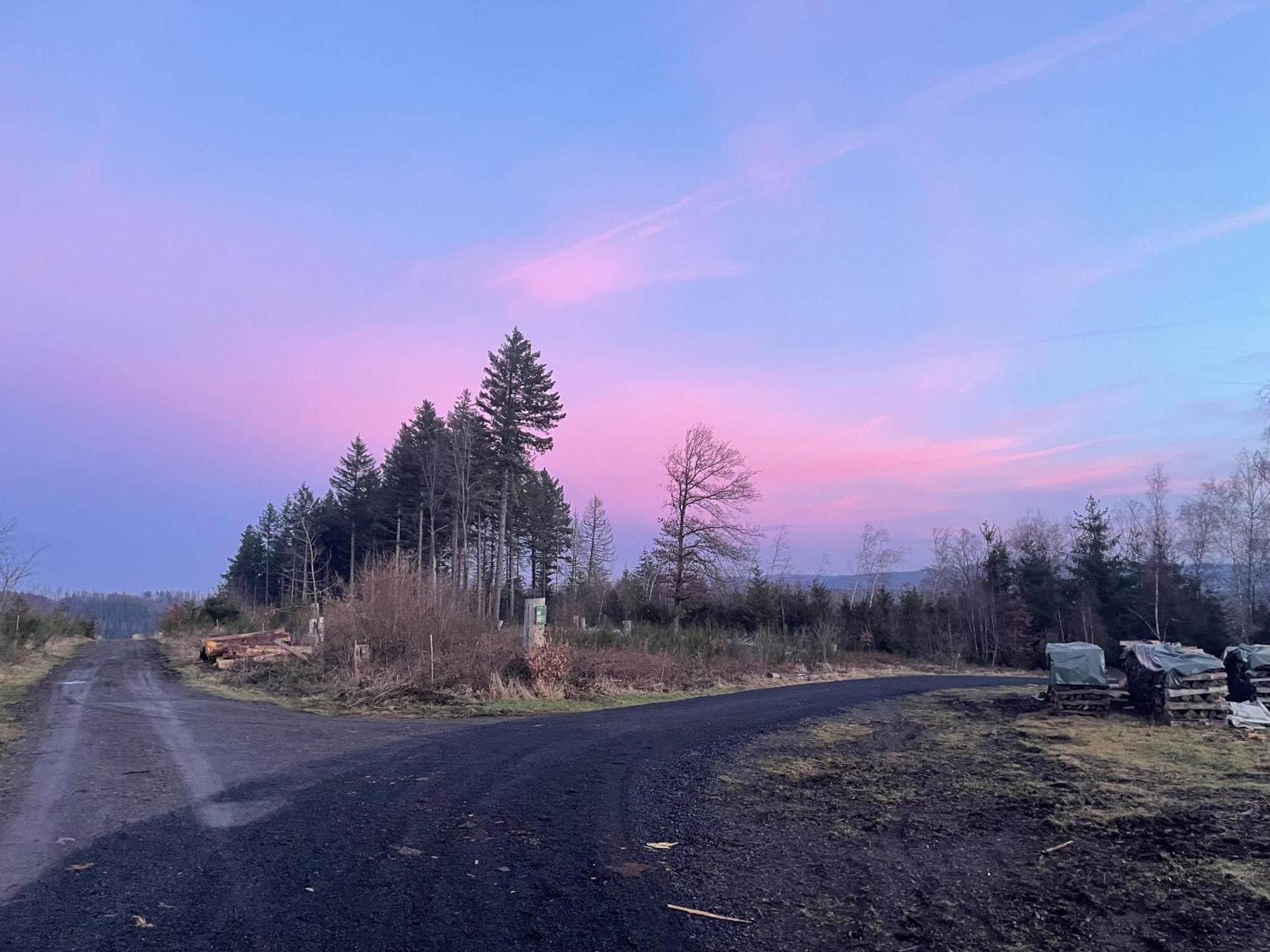 Gittas Paradiesperle Niederdreisbach Eksteriør bilde