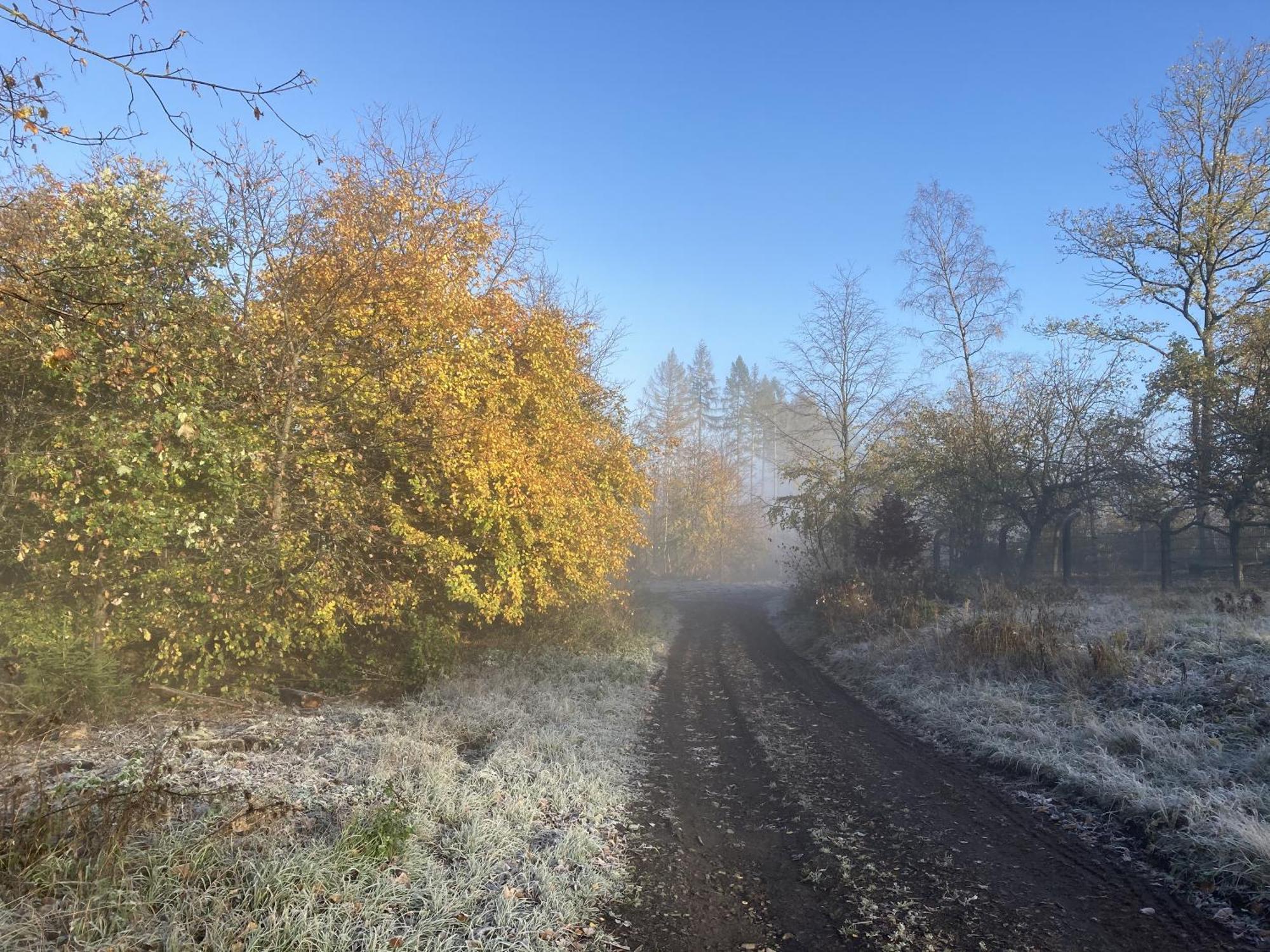 Gittas Paradiesperle Niederdreisbach Eksteriør bilde
