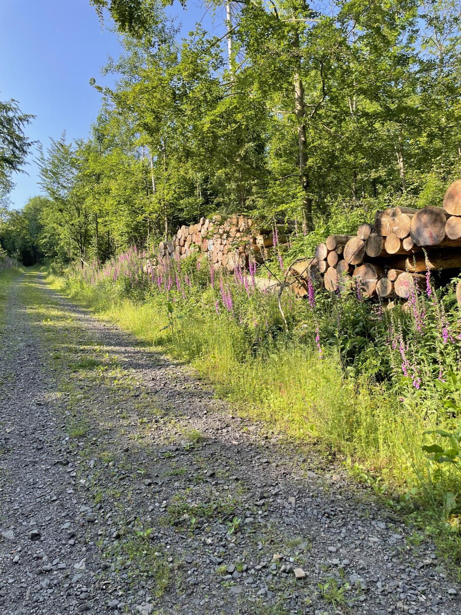 Gittas Paradiesperle Niederdreisbach Eksteriør bilde