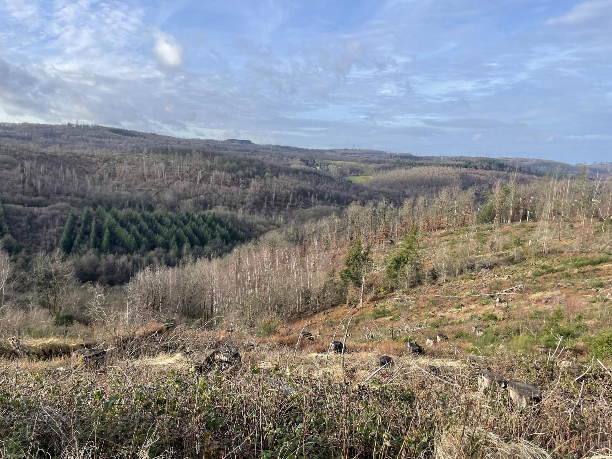 Gittas Paradiesperle Niederdreisbach Eksteriør bilde